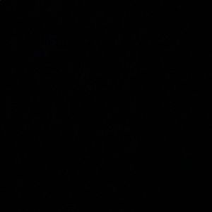 Meet your Posher, Jamal